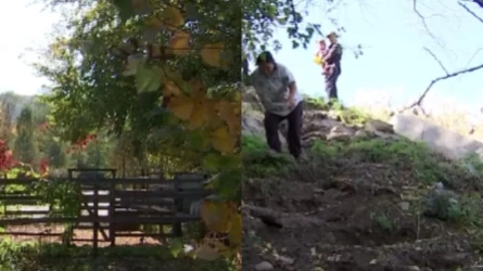 Арыстанбек Мұхамедиұлының әпкесі тұрғындардың жерін заңсыз тартып алды деп айыпталуда