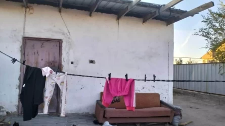 «Қыздардың зорланғанын анасы біліп жүрген»: Елді дүрліктірген оқиғаға қатысты тың дерек шықты