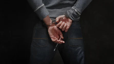 Елімізде шетелдік азаматтар айналысқан ауқымды есірткі өндірісі жойылды