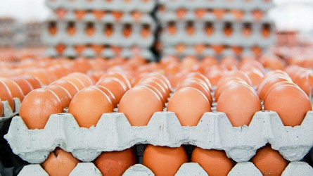 Елімізде жұмыртқа бағасы аяқасты шарықтады