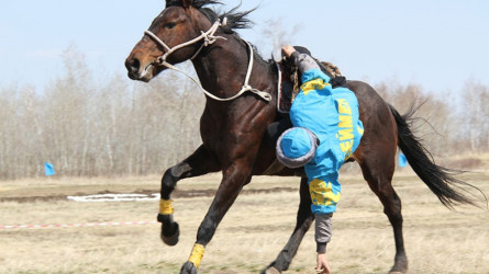 Ат спорты шеберлерін дайындау үшін жаңа мамандық ашылмақ
