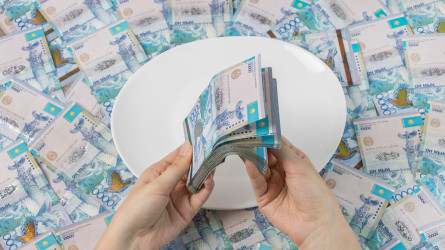 Қазақстандықтар 110 млрд теңге қарызын кешіруді сұраған - Қаржы министрлігі