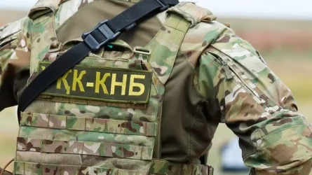 Қазақстанда ірі қылмыстық топтарды ұстау операциясы жүріп жатыр