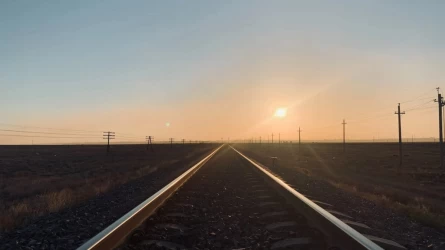 Щучьеде колледж студенті өлі табылды