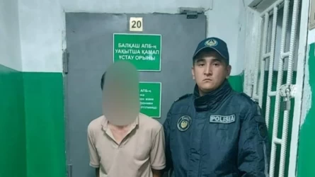 Алматы облысында 40 жастағы ер адам кішкентай қызды зорлады деп күдіктелуде