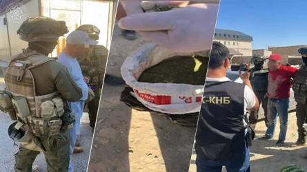 Ақтауда төрт адамнан 100 кг марихуана тәркіленді