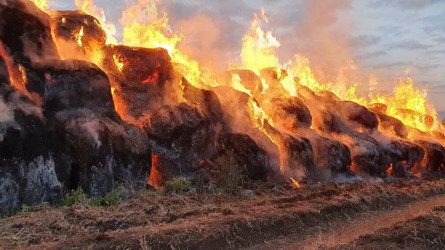 ШҚО-да найзағай жалыны 100 орам шөпті өртеп жіберді