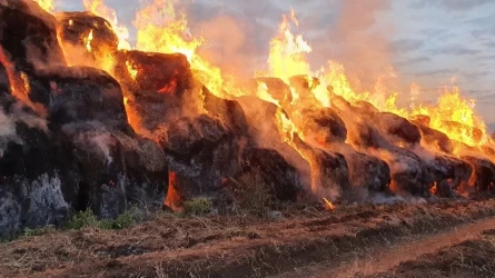 ШҚО-да найзағай жалыны 100 орам шөпті өртеп жіберді
