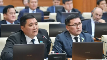 Депутат цифрландыруды тежеп отырған әкімдерді атауды сұрады