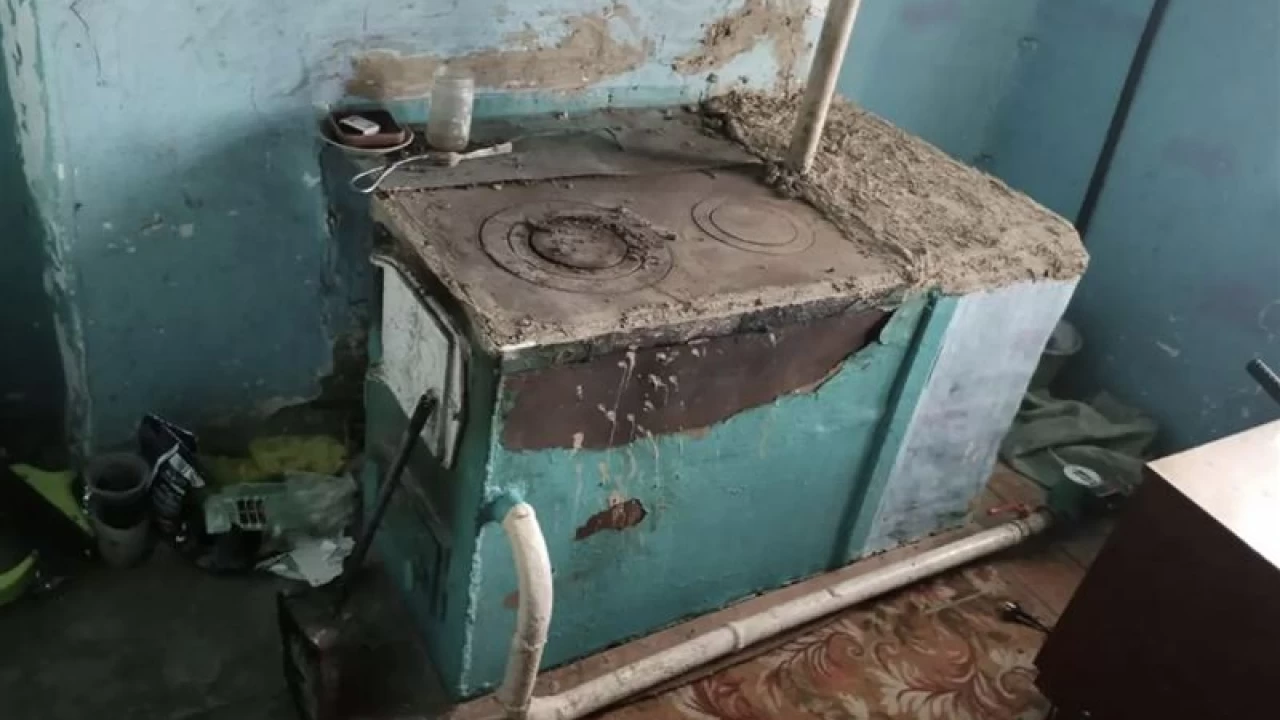 Шығыс Қазақстанда екі бала иіс тиіп уланды