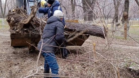 Қарағанды облысында төтенше жағдай режимі жарияланды