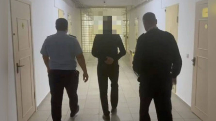 Түркістан облысының полицейлері Қазақстан аумағында 30-дан астам қылмыс жасаған күдіктіні ұстады