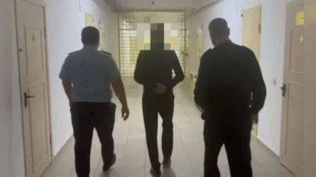 Түркістан облысының полицейлері Қазақстан аумағында 30-дан астам қылмыс жасаған күдіктіні ұстады