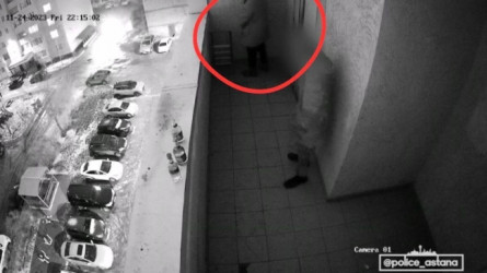 Тұрғын үйдің балконында дәрет сындырған ер адам бес тәулікке қамалды