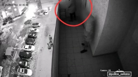 Тұрғын үйдің балконында дәрет сындырған ер адам бес тәулікке қамалды