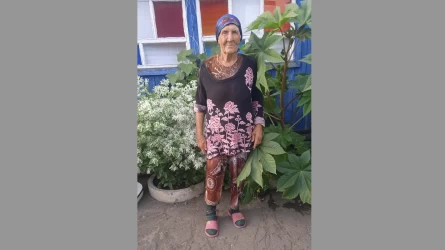 Павлодарлықтар амнезиямен ауыратын әжейді 6 күннен бері таба алмай жатыр