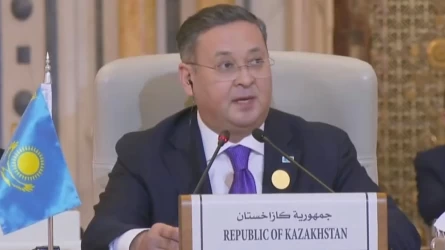 Қазақстан палестиналықтардың өз мемлекетін құру құқығын қолдайды – СІМ