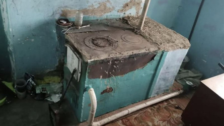 Шығыс Қазақстанда екі бала иіс тиіп уланды