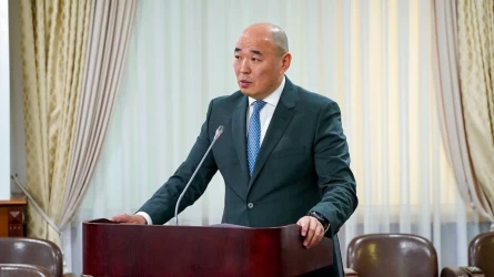 Дені сау, қолынан іс келетін адам өзі ақша жинап пәтер алғаны дұрыс - министр