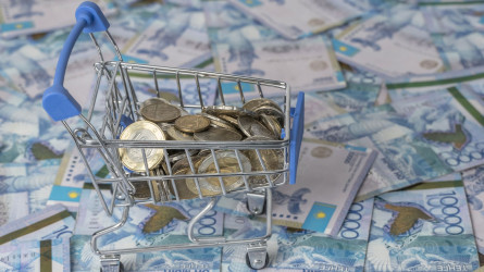 Өз еркімен несие алудан бас тарту туралы заң мақұлданды