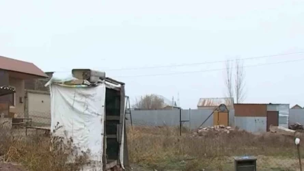 “Ұйықтап жатқан жерінен көтеріп шығарыпты”: Алматы облысында 9 жасар қызды белгісіз біреу зорлап кеткен