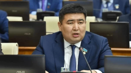 Бүгінде елімізде бірде-бір мемлекеттік ипотекалық бағдарлама жоқ - депутат