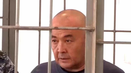 Түркістан облысында 5 жасар қызды өлтірген педофил жазасын ең қатал түрме – "Қара бүркітте" өтейді