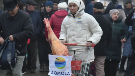20 миллионыншы тұрғынның дүниеге келуіне арналған Көкшетауда жәрмеңке өтті