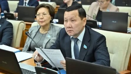 Депутат: Судьялар сайланатын болса, Сарыағаштағы қыз педофилдің қолынан өлмес еді
