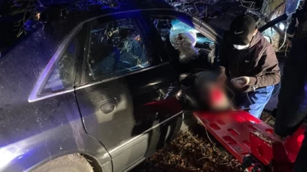 Жетісу облысында жолға атып шыққан жылқы адам өліміне себепкер болды
