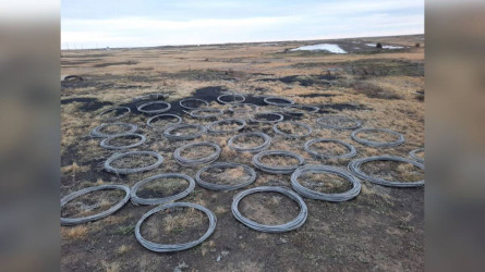 Павлодар облысында 61 жастағы азамат сым ұрлаған
