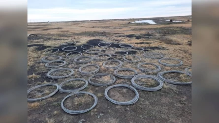 Павлодар облысында 61 жастағы азамат сым ұрлаған