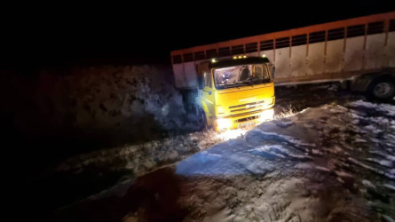 Қостанай облысында жүк көліктің жүргізушісі полиция бекетін айналып өтпек болып, жолдан шығып кетті