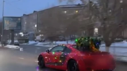 "Контент үшін": Шымкентте көлігін шыршамен безендіргендер жауапқа тартылды