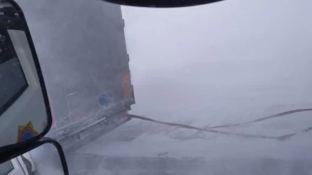 Жетісу облысының құтқарушылары жүкті әйелді қар құрсауынан құтқарды