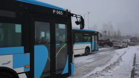 Елордада қала маңына қатынайтын 6 бағдардың автобустары әлі де тоқтап тұр