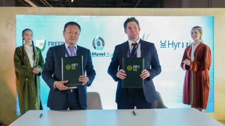 COP28 кездесуі нәтижесінде орман шаруашылығына инвестиция құйылмақ