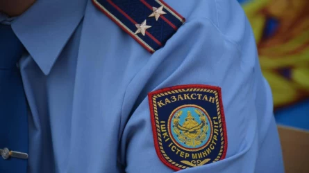 Түркістан облысында 4 жасар бүлдіршінді іздеуге дрон мен иісшіл иттер тартылды