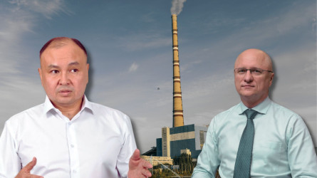 Жылу мен жарық аяз қысқанда «қашатын» әдетіне тағы басты