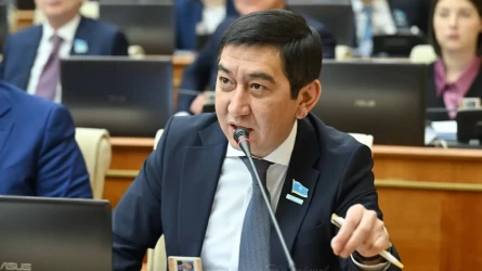 Жастар тәрбиесіне кері әсер ететін теріс идеологиядағы фильмдер қауіпті - Ринат Зайытов
