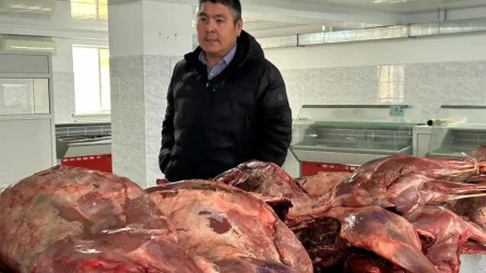 "Келісі 1500 теңге": Ақтөбеде киік еті сатылымға шығарылды