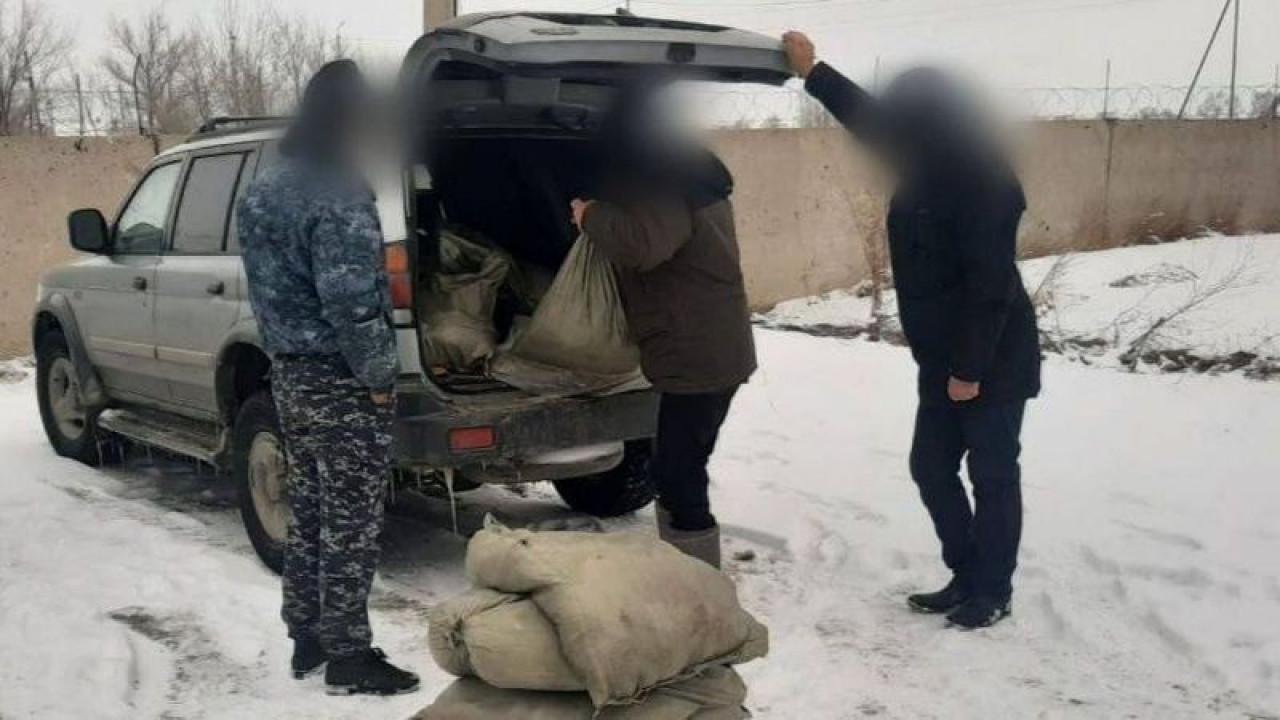 Павлодарлық азаматтың көлігінен заңсыз ауланған 149 келі балық табылды