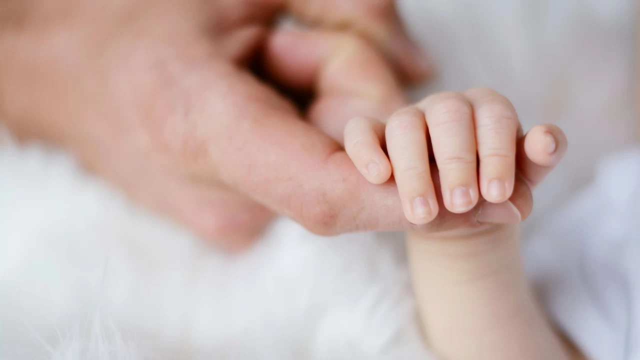 258 мыңнан астам жүкті және босанған әйел әлеуметтік төлем алады