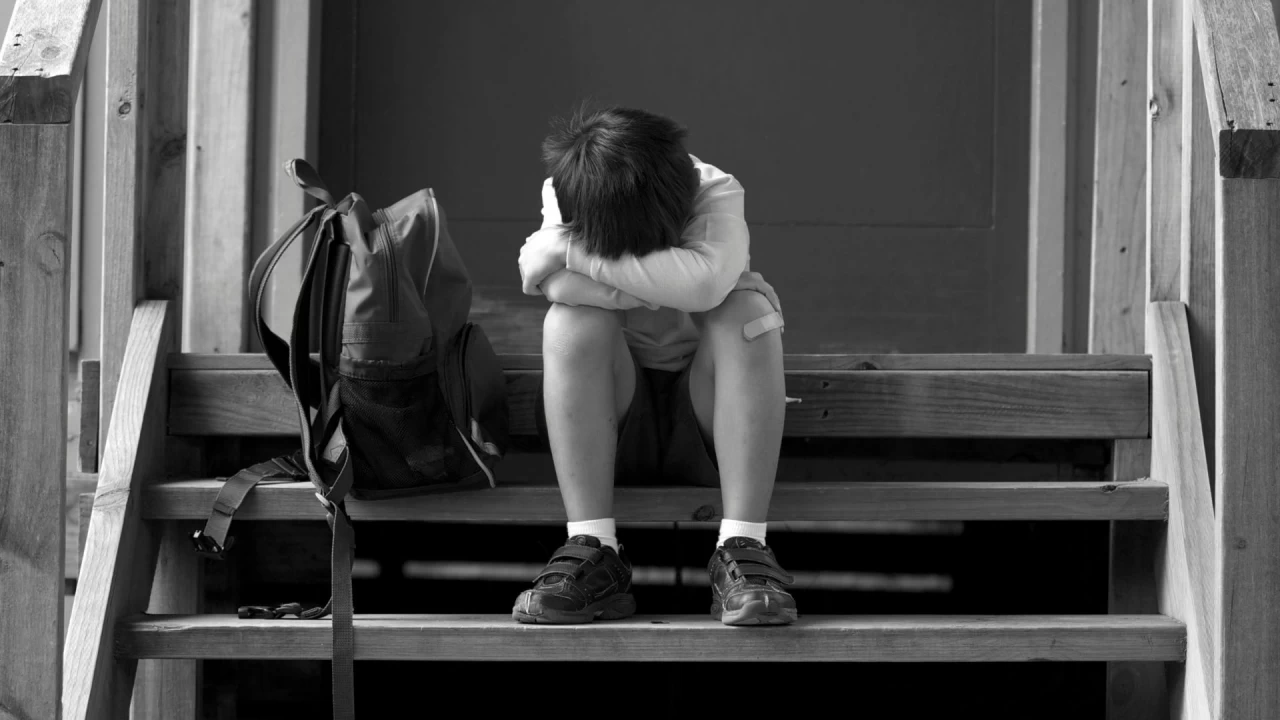 Ауыл тұрғыны 8 жасар баласын жасөспірімдер қорлағанын айтып полицияға арызданды