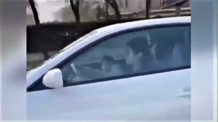 Алматыда баласын алдына отырғызып көлік жүргізген әйел айыппұл төлейді