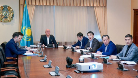 Жанармай сатылымын шектеу немесе жасырып қою мәселесі Үкіметте талқыланды