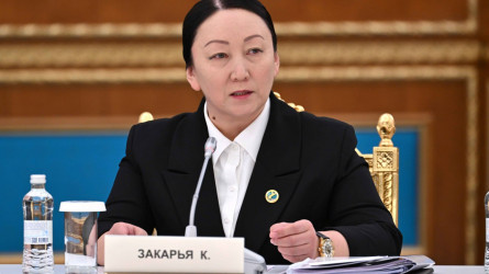 Тәуелсіздік жылдары Қазақстанда ғалымдар саны еселеп азайған – Күнсұлу Закария