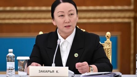 Тәуелсіздік жылдары Қазақстанда ғалымдар саны еселеп азайған – Күнсұлу Закария
