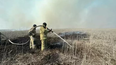 Каспий жағалауында 5 күн жанған қамыс өрті сөндірілді