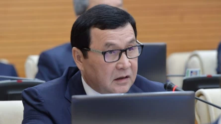 Мемлекеттік қызмет саласында ана тіліміз ресми тілдің тасасында қалып отыр - депутат